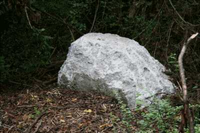 The Praying Rock